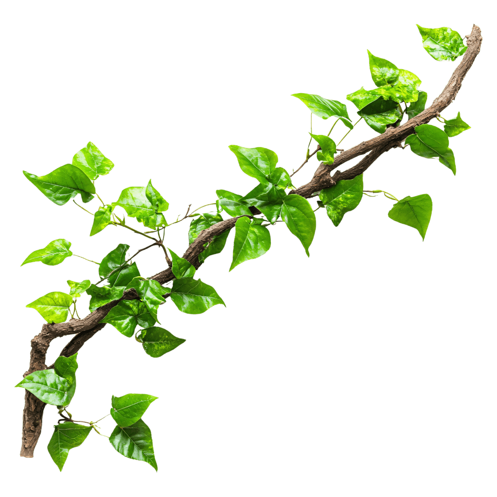 Mounted Botanical Vine Top Left